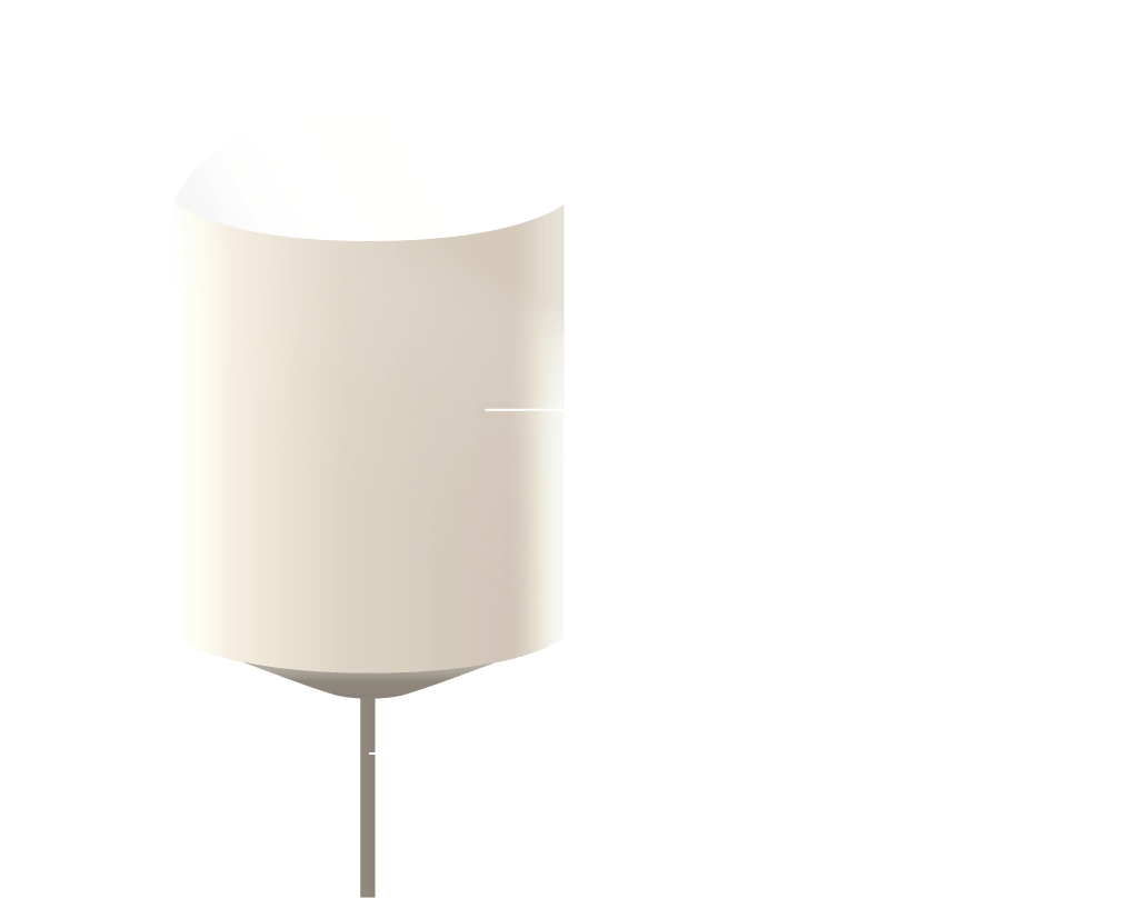 MeridianXS Image